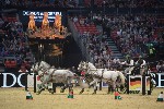 Extreme - 00245